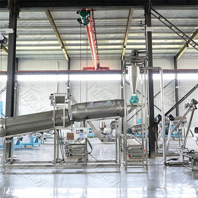 فولاد ضد زنگ کاملاً اتوماتیک خط تولید گلوله ماهی بزرگ ماهی