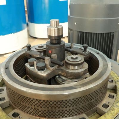 دستگاه گلوله سازی پلاستیک با سوخت زیستی یونجه باگاس 5000 کیلوگرم / H 2 میلی متر