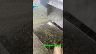تست دستگاه اکسترودر پلت خوراک ماهی شناور 200 کیلوگرم در ساعت قبل از بسته بندی #ماشین تغذیه ماهی