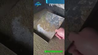 آسیاب پلت خوراک میگو | تولید محصول نهایی کارخانه دمو# دستگاه پلت خوراک